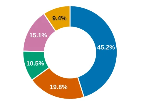 Donut chart made in LabCanvas Graphs: A pie with a hole