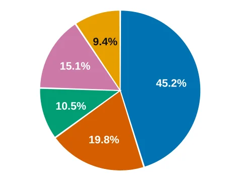 Pie chart made in LabCanvas Graphs: Fractions of a whole
