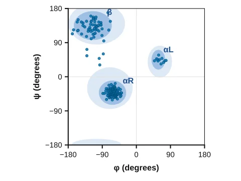 Ramachandran plot made in LabCanvas Graphs: ψ against φ with the favoured and allowed regions
