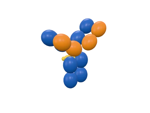 Antibody, rendered in 3D