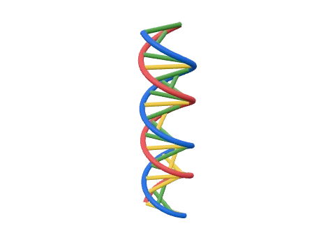 DNA double helix, rendered in 3D