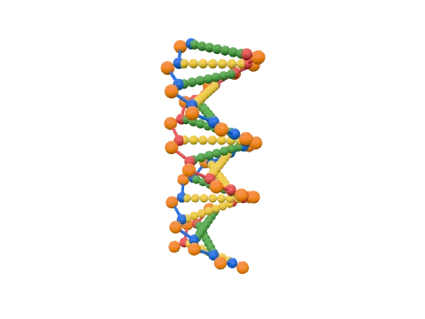 DNA (atomic), rendered in 3D