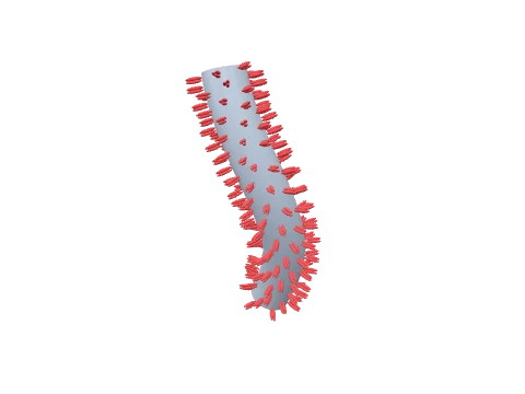 Filovirus (Ebola), rendered in 3D