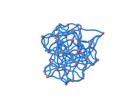 Hydrogel, rendered in 3D