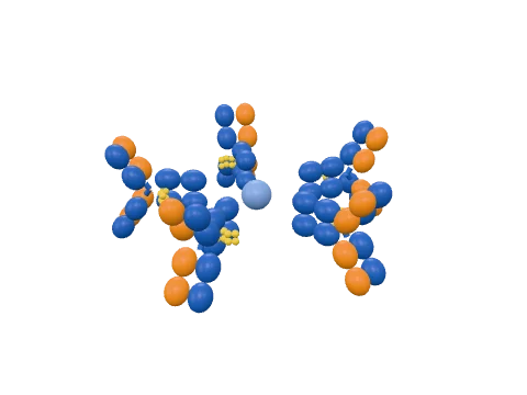 IgM pentamer, rendered in 3D