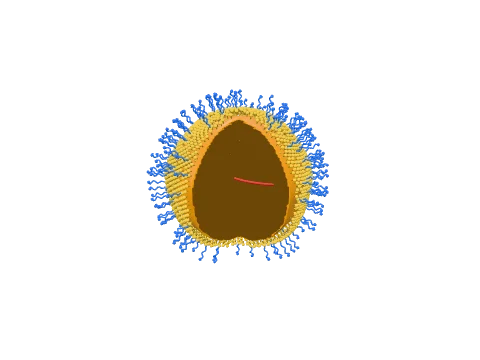 Lipid nanoparticle, rendered in 3D