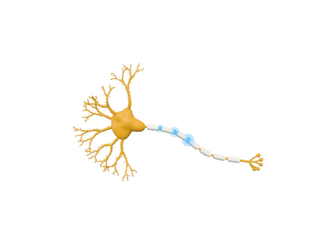 Myelinated neuron with signal, a 3D model rendered in the LabCanvas 3D Studio