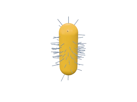 Gold nanorod, rendered in 3D