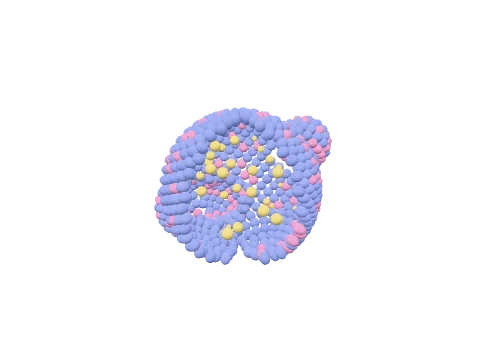 Organoid, rendered in 3D