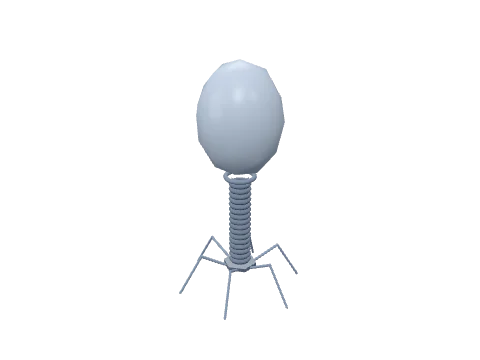 Bacteriophage T4, rendered in 3D