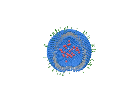 PEGylated liposome, rendered in 3D
