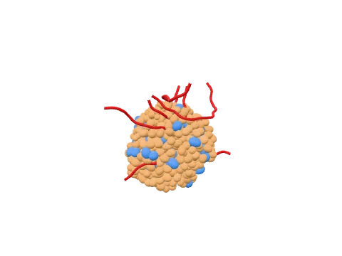 Cancer tissue (tumour), rendered in 3D