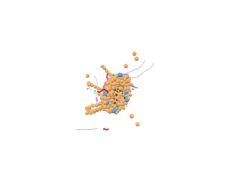 Tumour microenvironment, rendered in 3D