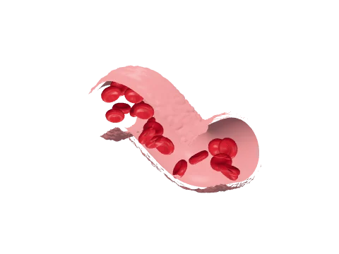 Blood vessel, rendered in 3D
