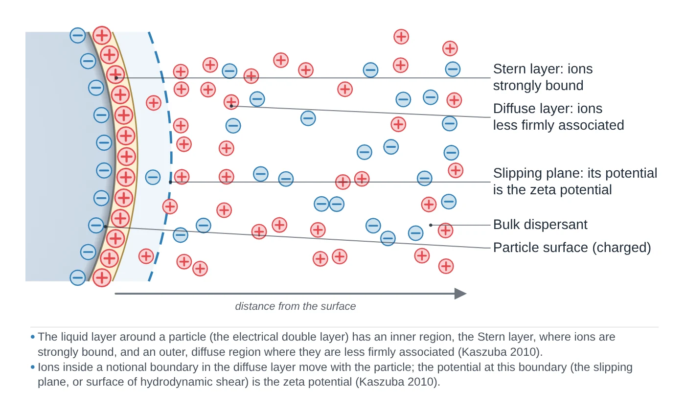 DLS and zeta potential data plot drawn as a LabCanvas Library object