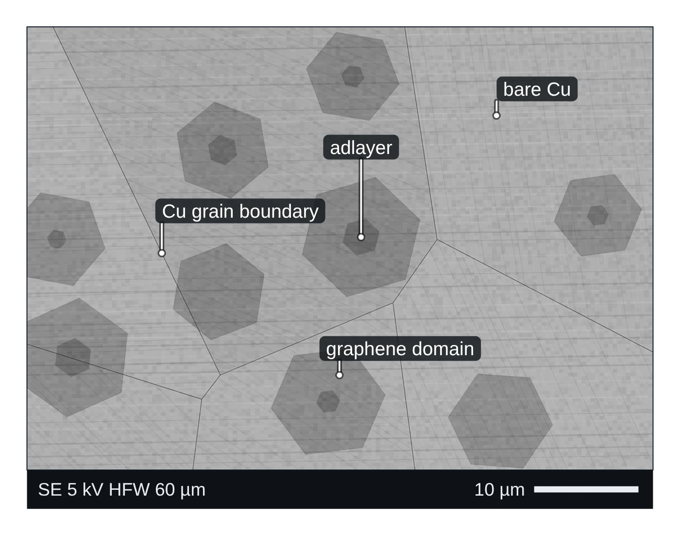 Scanning electron microscopy (SEM) data plot drawn as a LabCanvas Library object