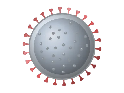Coronavirus: Capsid or enveloped virus with spike proteins and genome