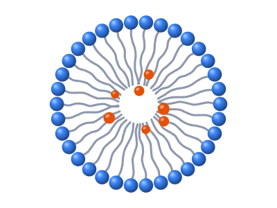 Micelle: Surfactants with heads out and tails in, optional drug core