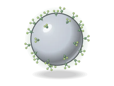 Silver NP, phytochemical capping: A nanoparticle in 3D: gold, silver, magnetite, silica… with a capping layer, ligands, a surfactant bilayer, surface charges or a shell (core–shell)