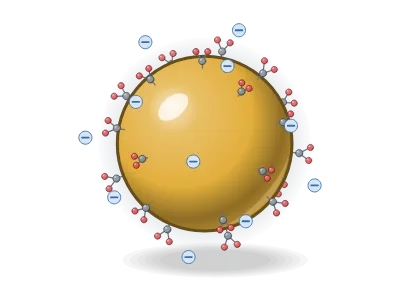 Gold NP, citrate-capped: A nanoparticle in 3D: gold, silver, magnetite, silica… with a capping layer, ligands, a surfactant bilayer, surface charges or a shell (core–shell)