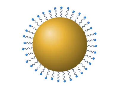 Nanoparticle: Gold or polymer particle with a ligand corona