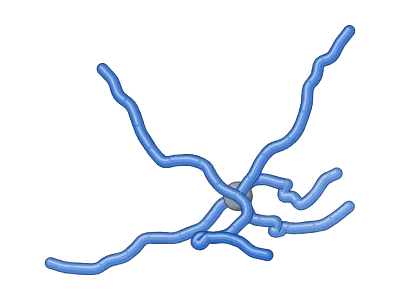 Star polymer (3D): Polymer chains in 3D, monomer by monomer: linear, branched, star, comb, bottlebrush, dendrimer, ring and hyperbranched; monomer order homopolymer, random, alternating, block (AB, ABA, ABC, multiblock), gradient or graft, one colour per monomer; random coil, extended chain, globule or helix; beads, beads on sticks or smooth tubes; radius of gyration and end-to-end vector measured on the drawn chain; galleries of all architectures, orders and shapes; editable labels