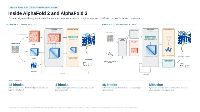 Inside AlphaFold 2 and AlphaFold 3: editable figure template