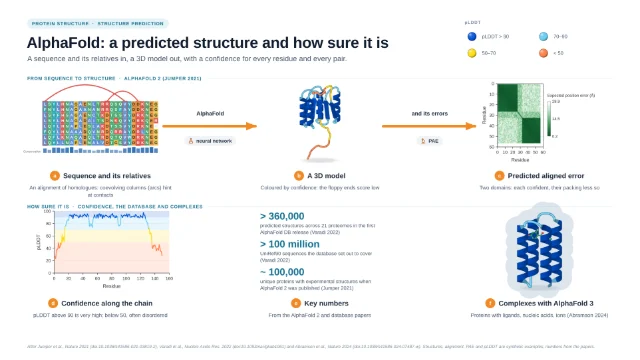AlphaFold: a predicted structure and how sure it is: editable figure template