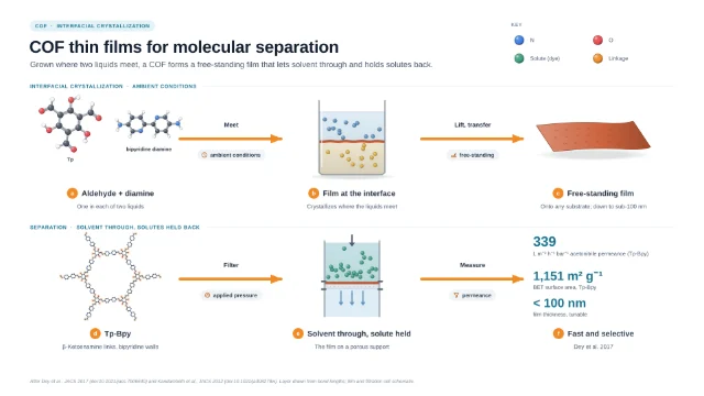 COF thin films for molecular separation: editable figure template