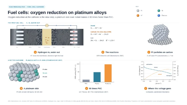 Fuel cells: oxygen reduction on platinum alloys: editable figure template