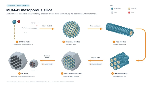 MCM-41 mesoporous silica by surfactant templating: editable figure template