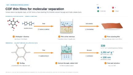 COF thin films for molecular separation: editable graphical abstract template