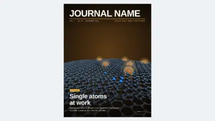 Journal cover: single-atom catalysis: editable graphical abstract template