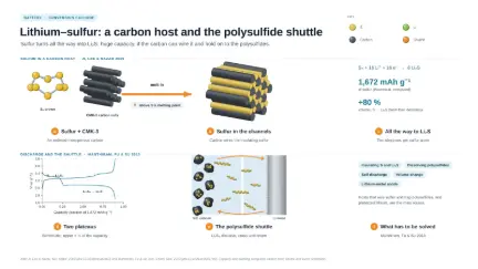 Lithium–sulfur: a carbon host and the polysulfide shuttle: editable graphical abstract template