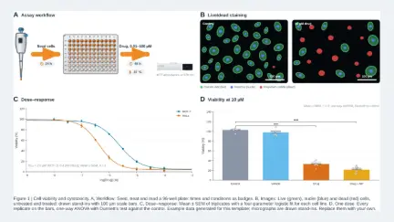 Four-panel figure: cell viability and cytotoxicity: editable graphical abstract template