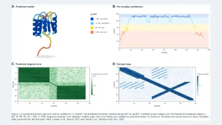 Four-panel figure: a predicted protein structure and its confidence: editable graphical abstract template