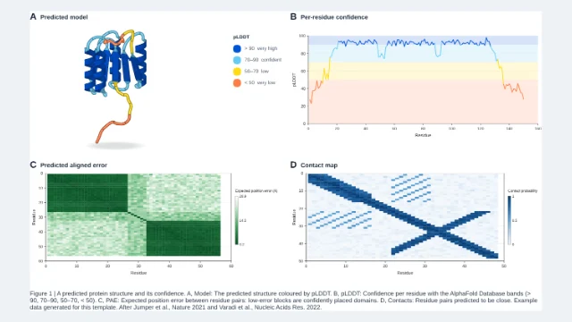 Four-panel figure: a predicted protein structure and its confidence: editable figure template