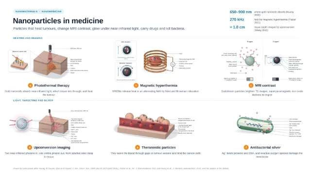 Nanoparticles in medicine: heating, imaging, targeting and killing bacteria: editable figure template