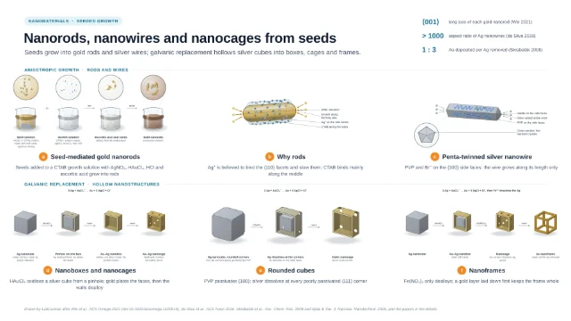 Nanorods, nanowires and nanocages from seeds: editable figure template