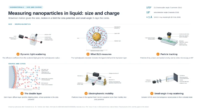 Measuring nanoparticles in liquid: size and charge: editable figure template