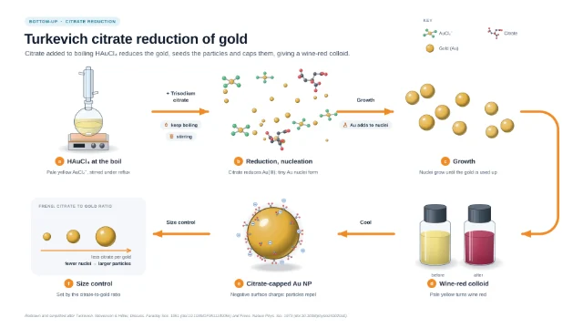 Turkevich citrate reduction of gold nanoparticles: editable figure template