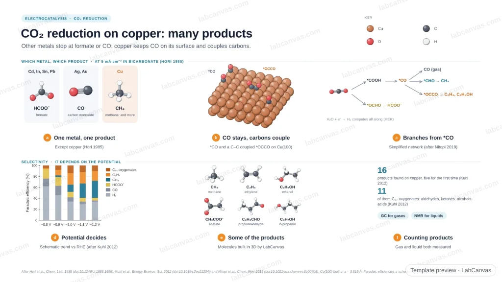 CO₂ reduction on copper: many products: preview of the editable figure template