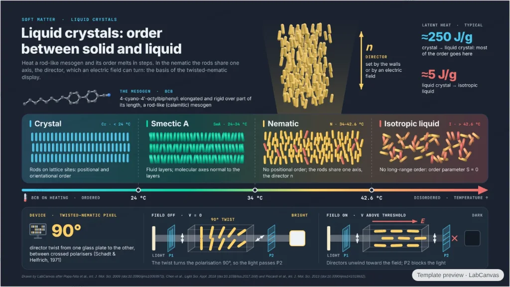 Liquid crystals: order between solid and liquid: preview of the editable figure template