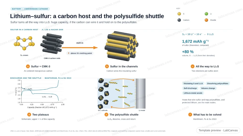 Lithium–sulfur: a carbon host and the polysulfide shuttle: preview of the editable figure template