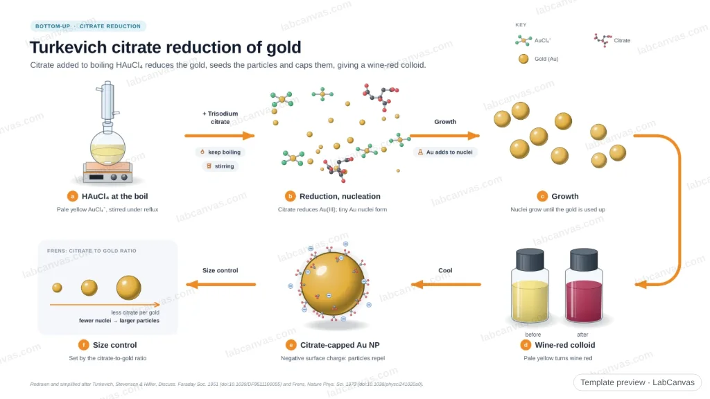 Turkevich citrate reduction of gold nanoparticles: preview of the editable figure template